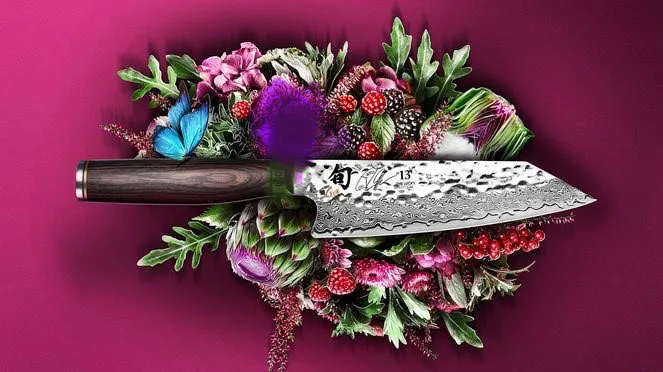 Small Kiritsuke Shun Tim Malzer Kai 2